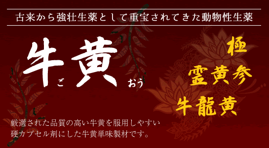 牛黄:牛黄カプセルは厳選された品質の高い牛黄(ごおう)を服用しやすい硬カプセル剤としたものです。牛黄は古くから中国で用いられ、高貴薬として珍重されております。