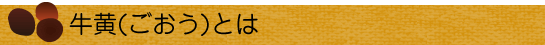 牛黄(ごおう)とは